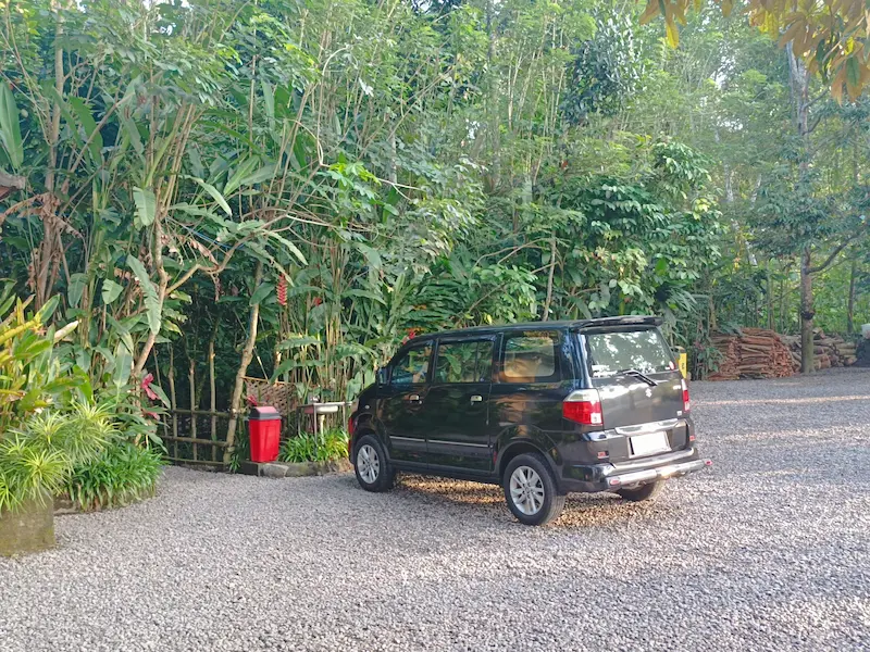 Ubud to Lovina private taxi MedyTrips